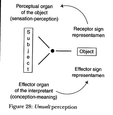 Merrell (2003) diagram